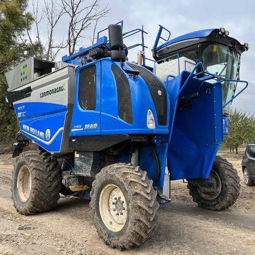 cabalgadora estacionada junto a plantación antes de comenzar la recolección de aceituna