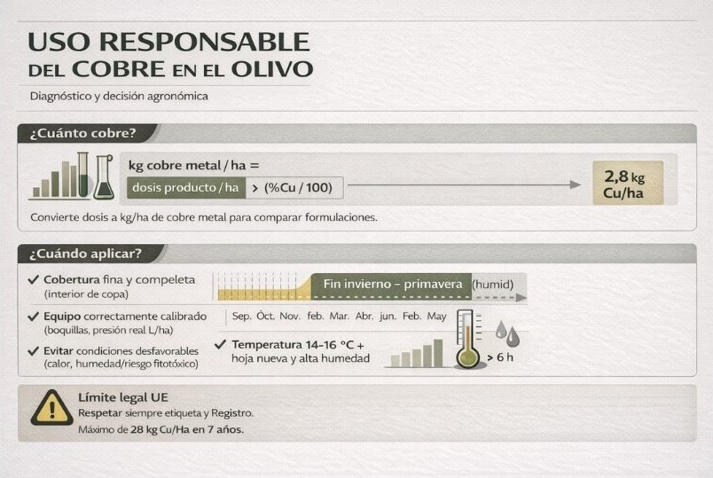 infografia sobre dosis de cobre para el olivo detallada