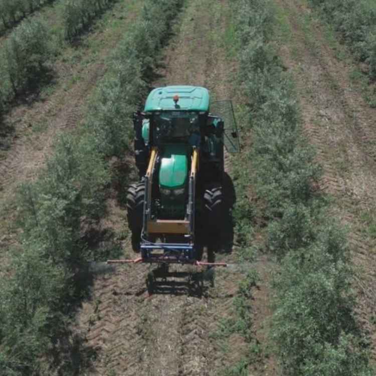 tractor dando tratamiento de herbicida